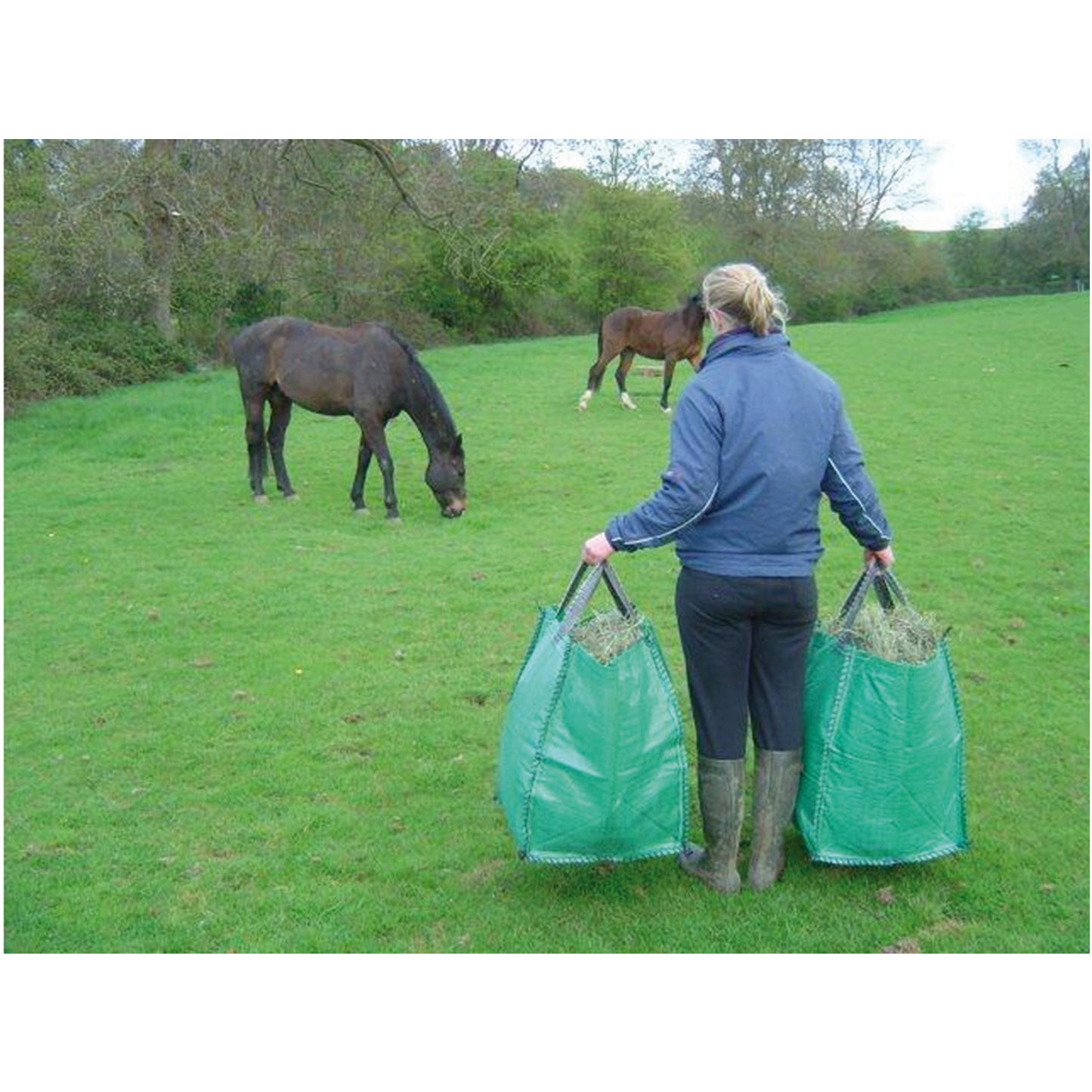 Go Bag Garden Waste Bag